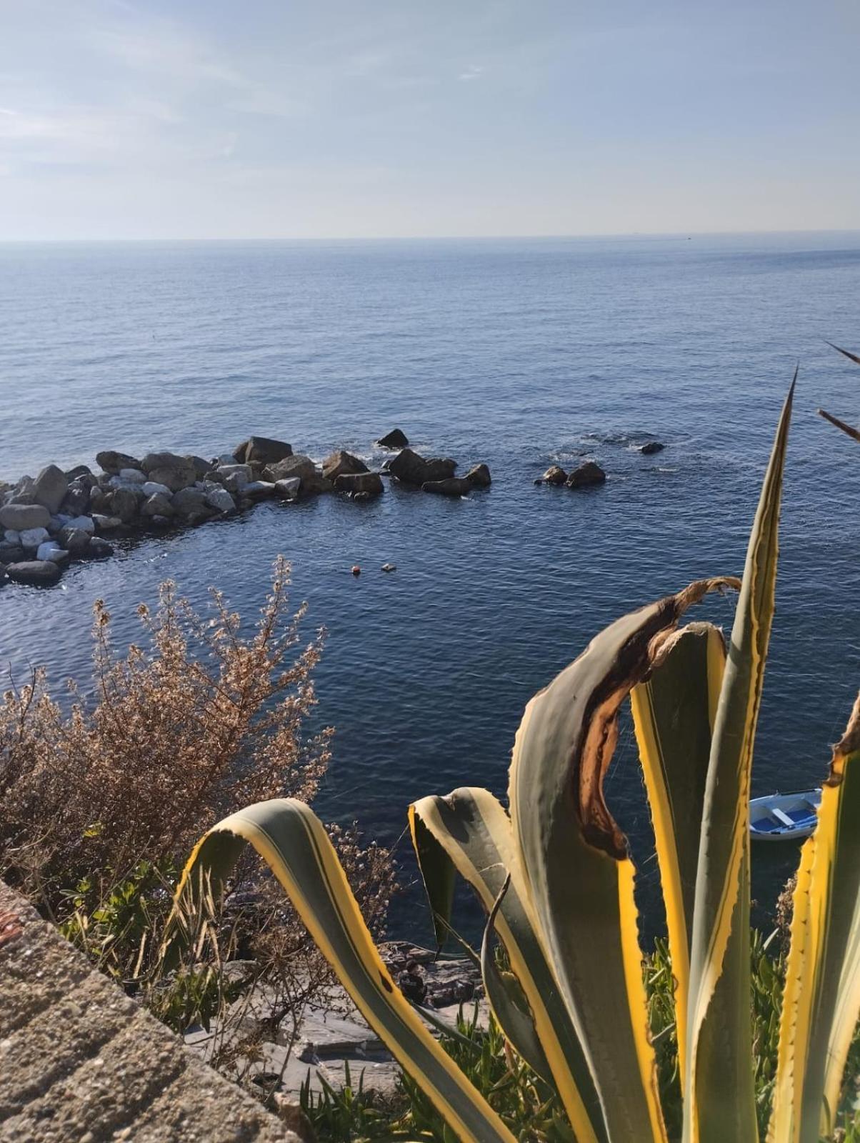 Casa Vacanze Buddy La Tua Base Per Visitare Il Mare Delle Cinque Terre Διαμέρισμα Λα Σπέτσια Εξωτερικό φωτογραφία